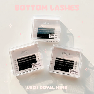 Elan Bottom Lash Mini Tray B Curl
