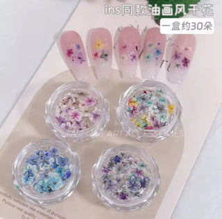 Small Dried Flower Pack