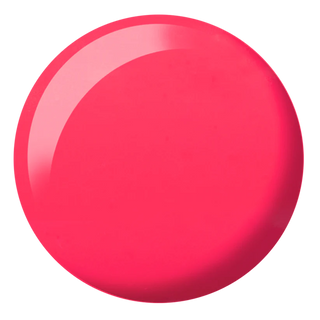 DND DIVA #201-290