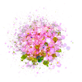 Take Over "Sparkle Dust" Glitter