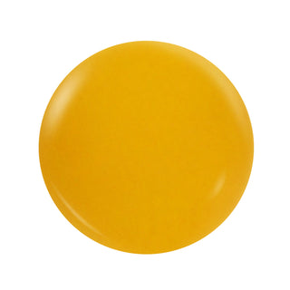 NOTPOLISH M120 GOLDEN HOUR POWDER