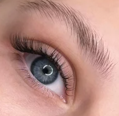 A visual guide to different lash extension types, featuring classic lashes for a subtle look, volume lashes for a glamorous effect, premade fans for efficiency, and loose fans for a personalized touch.