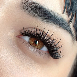 LBLA Ready to Wear Spike Lashes