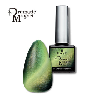 KOKOIST Dramatic Magnet Gel Polish