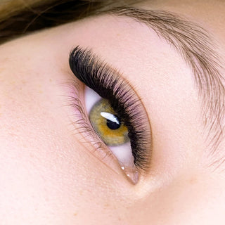 LBLA Pretty Little Y’s Volume Lashes