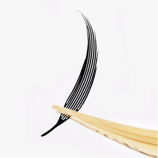 LBLA Anime Tower Spike - 0.05 Contour Laser Print Lash D Curl 8-15mm