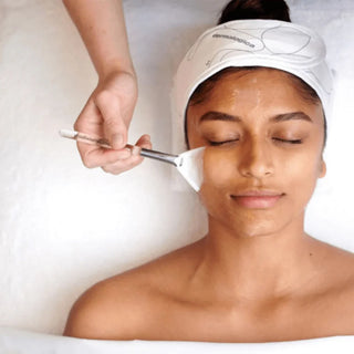 Dermalogica Fan Masque Brush