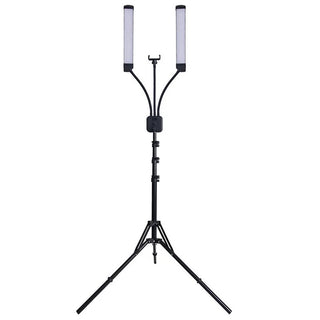 Portable LED light with stand